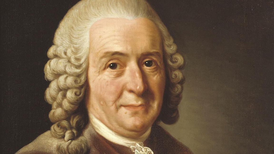Porträtt av Carl von Linné målat av Alexander Roslin.