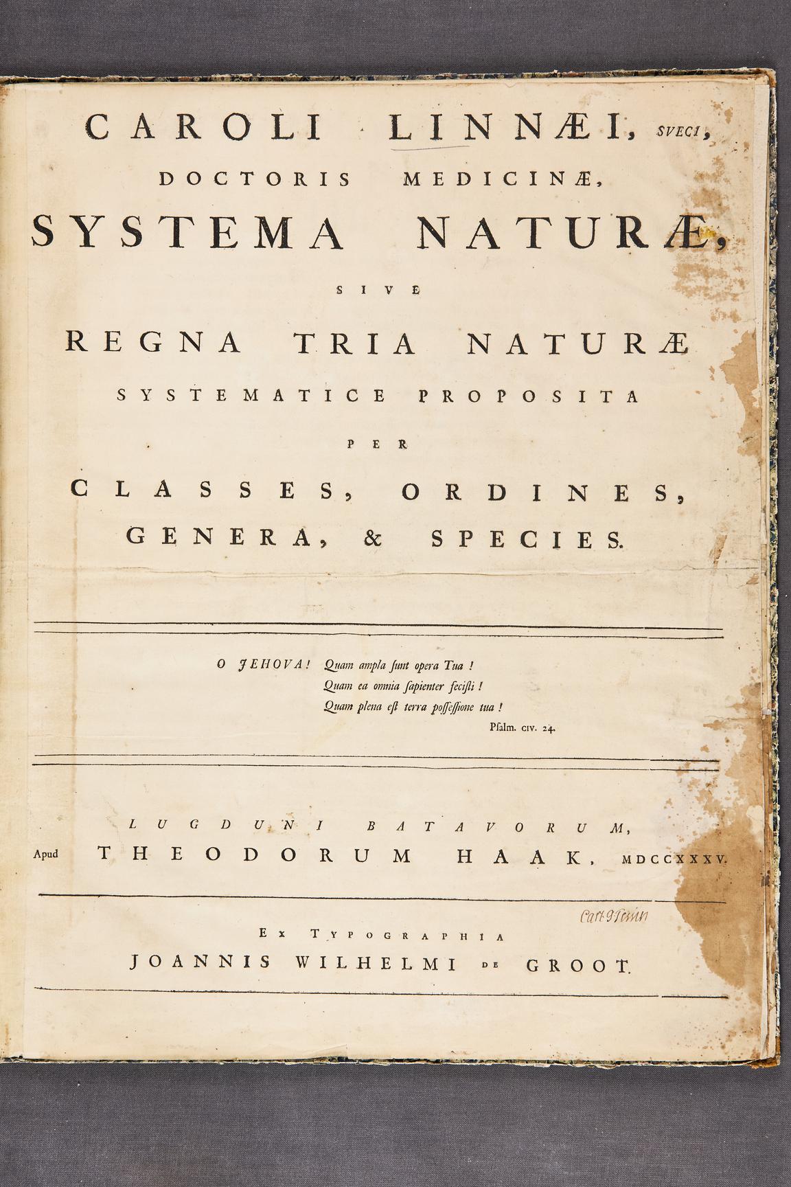 Carl von Linnés Systema naturae från 1735. Carl Gustaf Tessins exemplar.