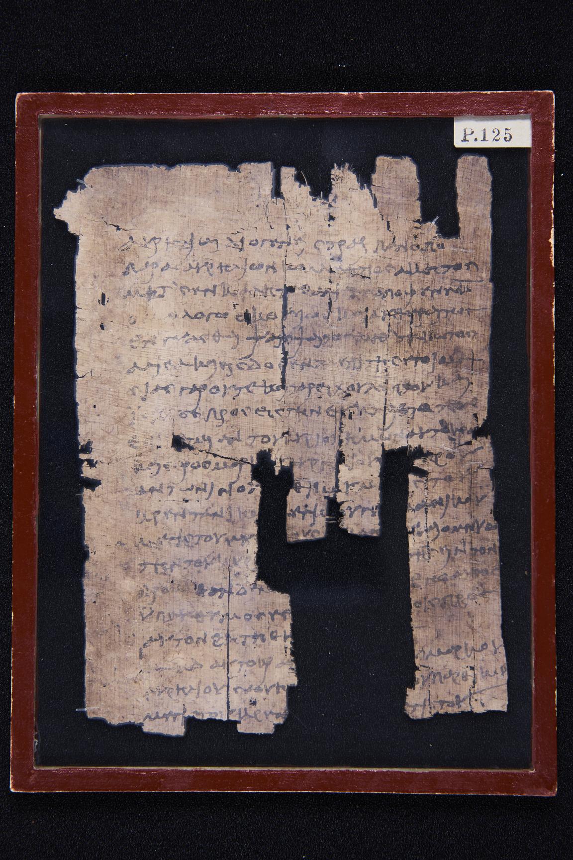 Papyrus P 125