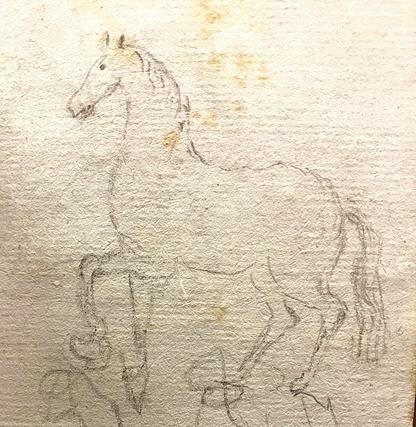 Horse drawing marginalia from the collection.